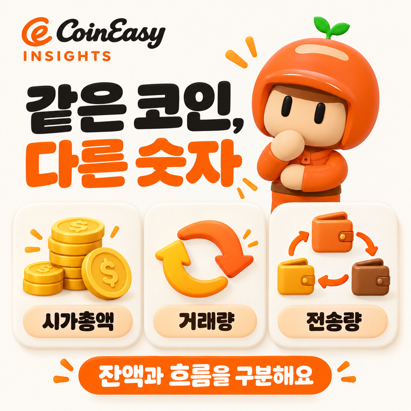 이지보이가 한 시점의 코인 규모와 일정 기간의 거래·전송 흐름을 구분해 설명하는 3D 카드